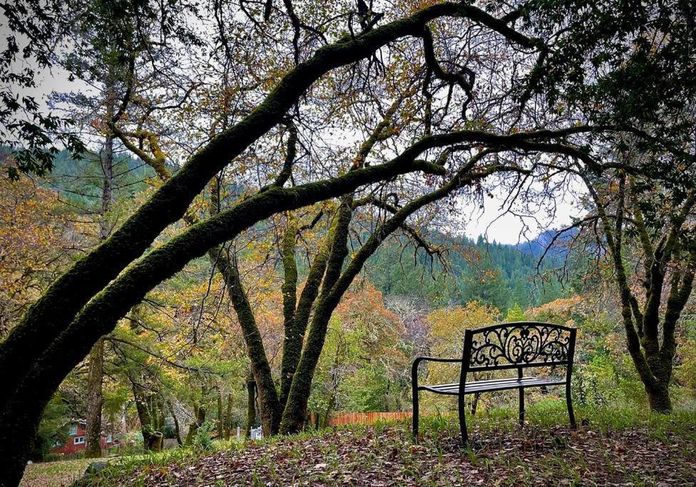 Avenue Of The Giants Pepperwood Place Miranda Extérieur photo